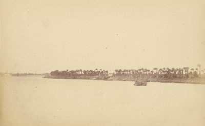 (Banks of the Nile with Palm Trees and Boats) by Théodule Devéria